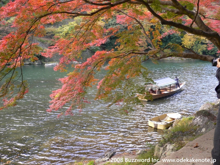 京都 嵐山 紅葉 2008