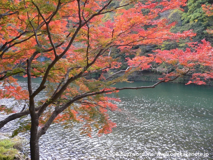 京都 嵐山 紅葉 2008
