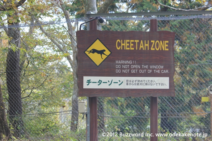 富士サファリパーク チーターゾーン 2012