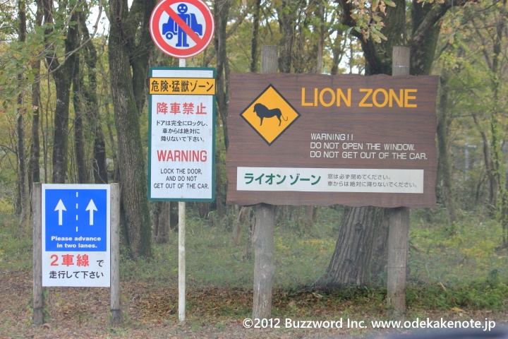 富士サファリパーク ライオンゾーン 2012
