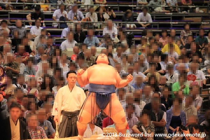 大相撲 名古屋場所 2013