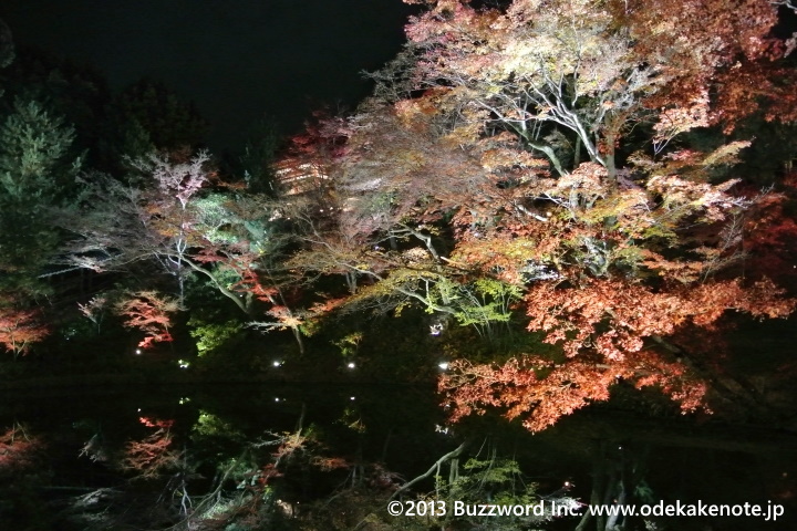 京都 紅葉 圓徳院 ライトアップ 2013