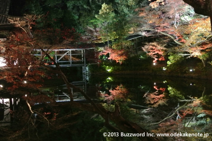 京都 紅葉 圓徳院 ライトアップ 2013