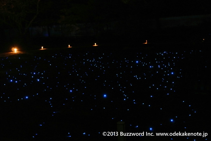京都 紅葉 青蓮院門跡 ライトアップ 2013