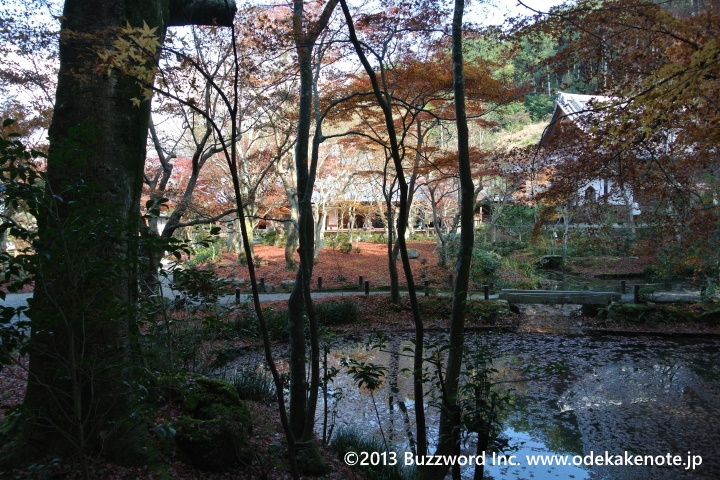 京都 紅葉 圓光寺 2013
