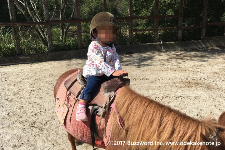 モクモク手づくりファーム のんびり学習農場 ポニーの乗馬体験 2017