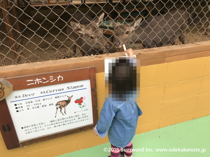 大内山動物園 エサ 2018