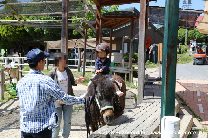 愛知牧場 引き馬体験 2018