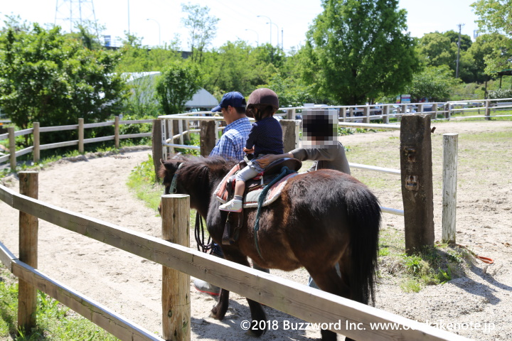 愛知牧場 引き馬体験 2018