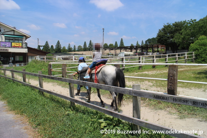 愛知牧場 引き馬体験 2019