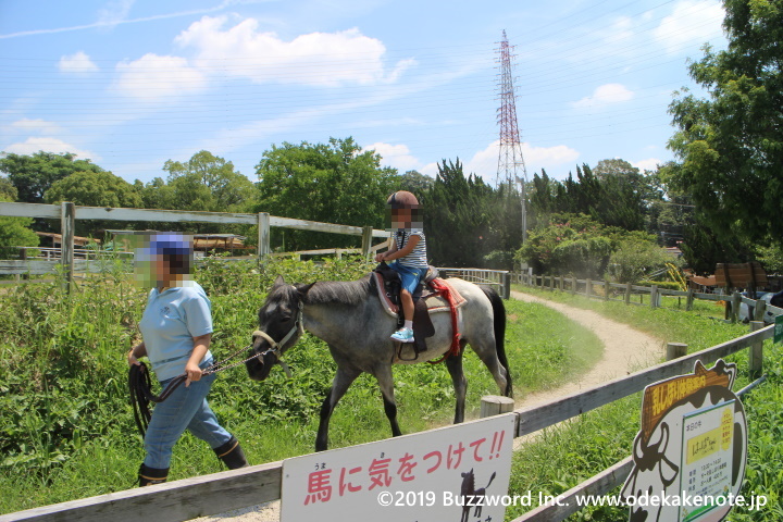 愛知牧場 引き馬体験 2019