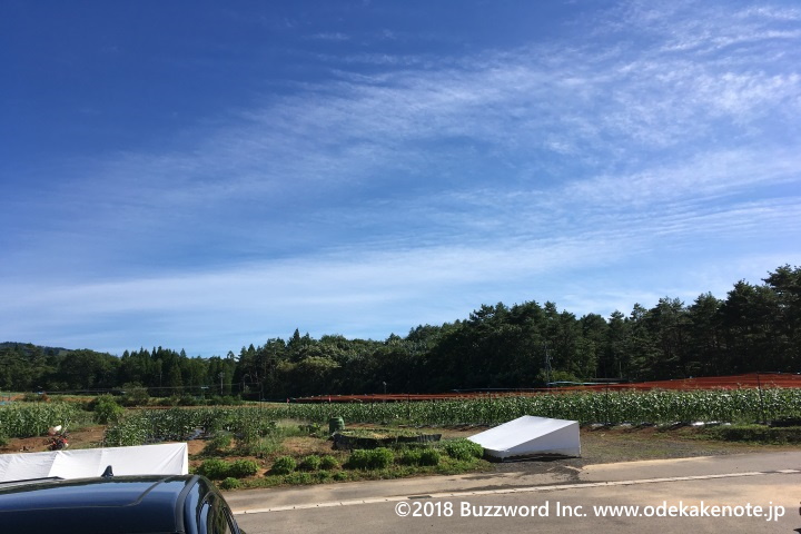 牧歌の里 たかすふれあい農園 トウモロコシ 収穫体験 2018