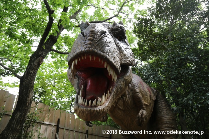 大高緑地公園 ディノアドベンチャー名古屋 ティラノサウルス 2018