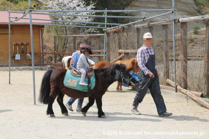 モクモク手づくりファーム ポニー乗馬体験 のんびり学習牧場 2018