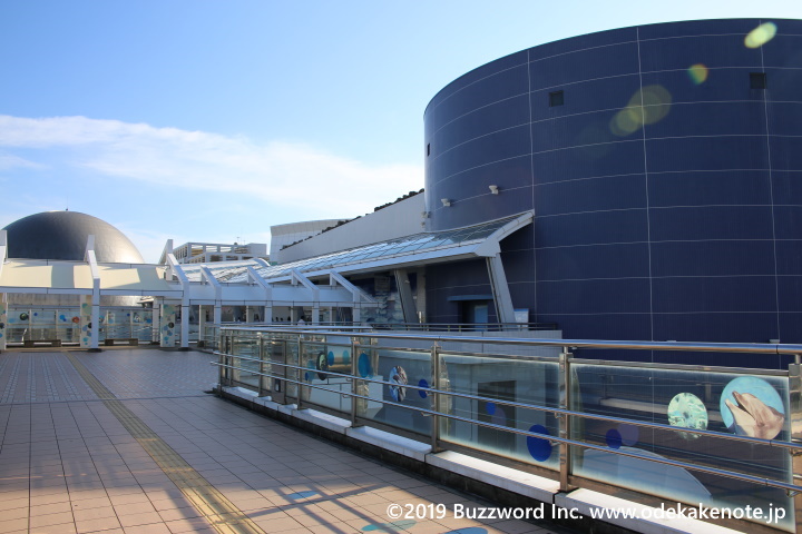 名古屋港水族館 サマーナイトアクアリウム 2019