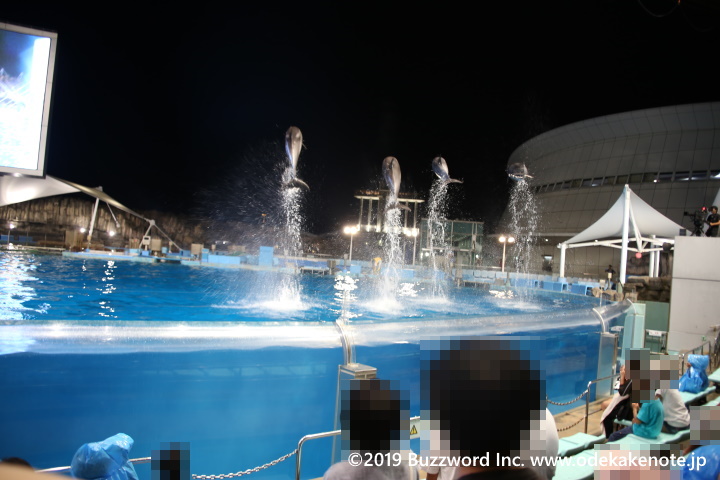 名古屋港水族館 サマーナイトアクアリウム イルカパフォーマンス 2019