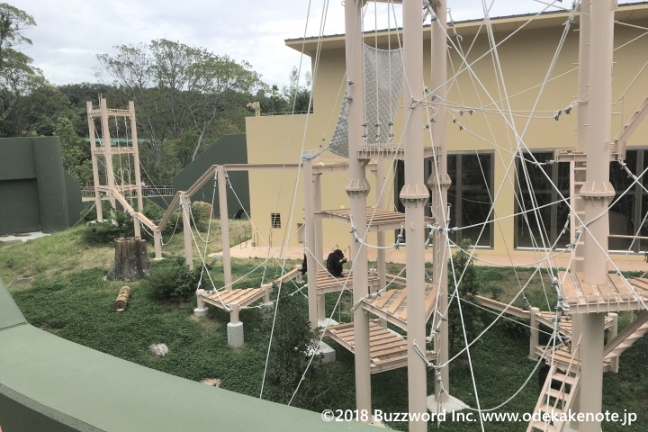 東山動植物園 ゴリラ・チンパンジー舎 2018