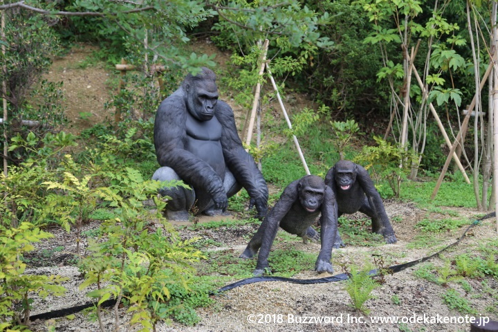 東山動植物園 ゴリラ・チンパンジー舎 2018