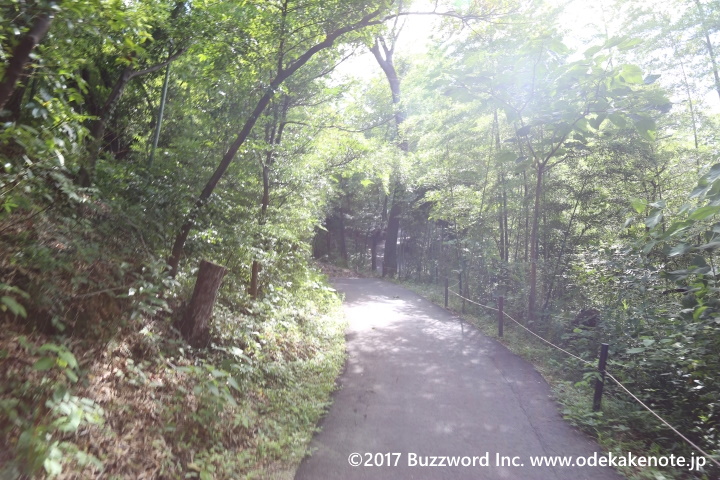 ディノアドベンチャー名古屋 大高緑地公園 2017