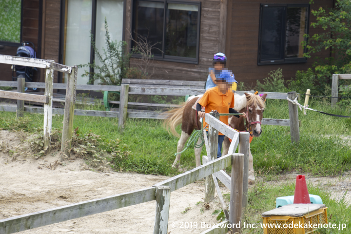 愛知牧場 引き馬体験
