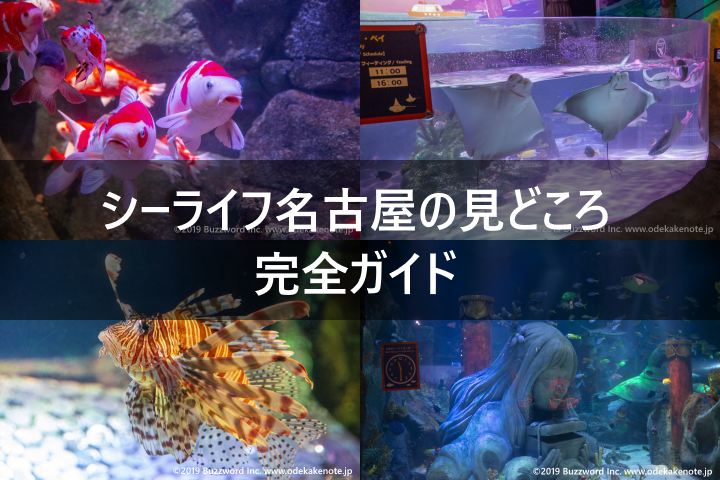 eyecatch