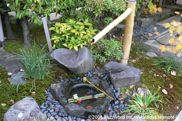白鳥庭園 2008