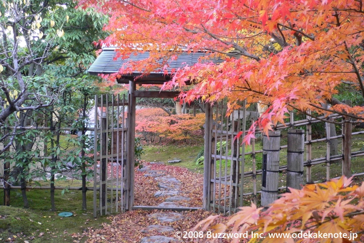 白鳥庭園 紅葉 2008