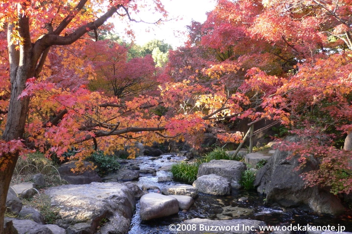 白鳥庭園 紅葉 2008