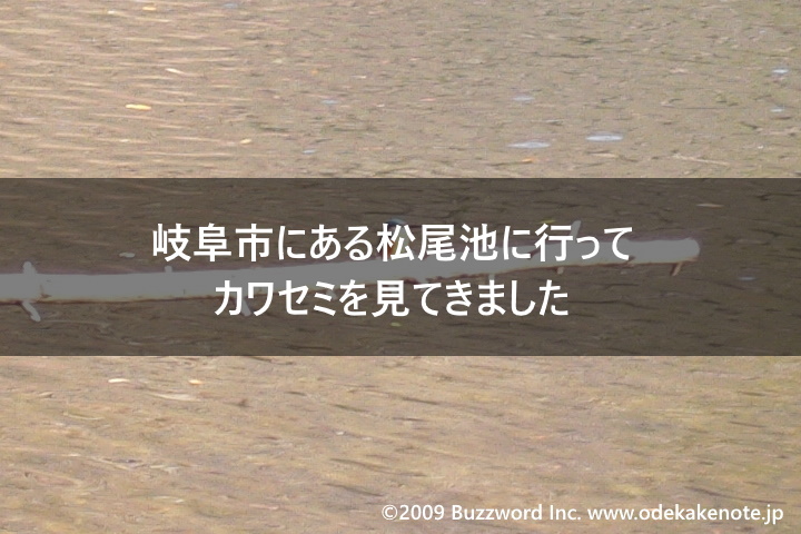 eyecatch