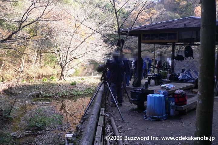 松尾池 カワセミ 2009