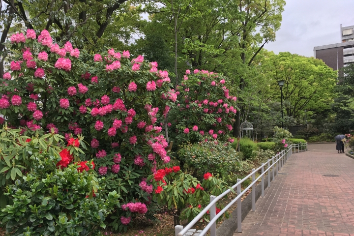 フラリエ