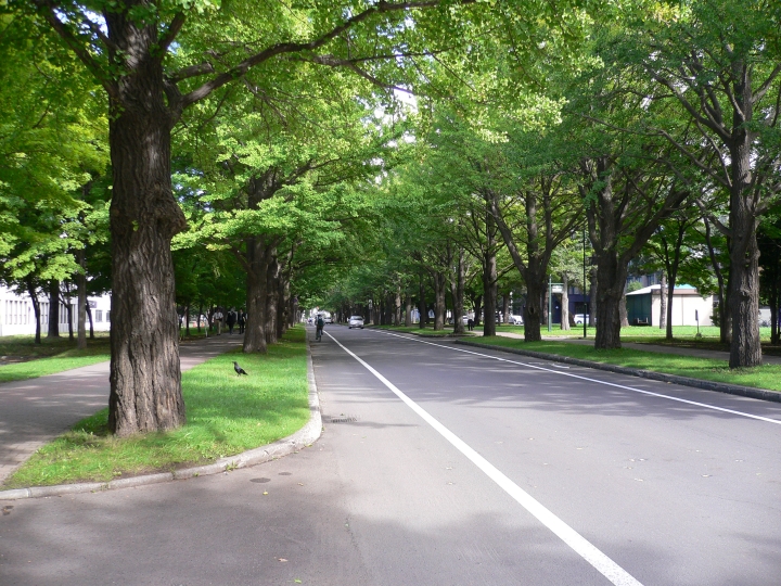 北海道大学