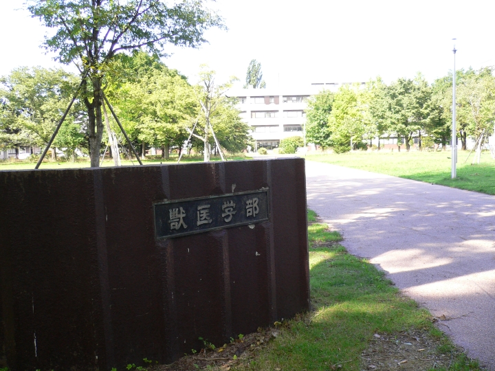 北海道大学